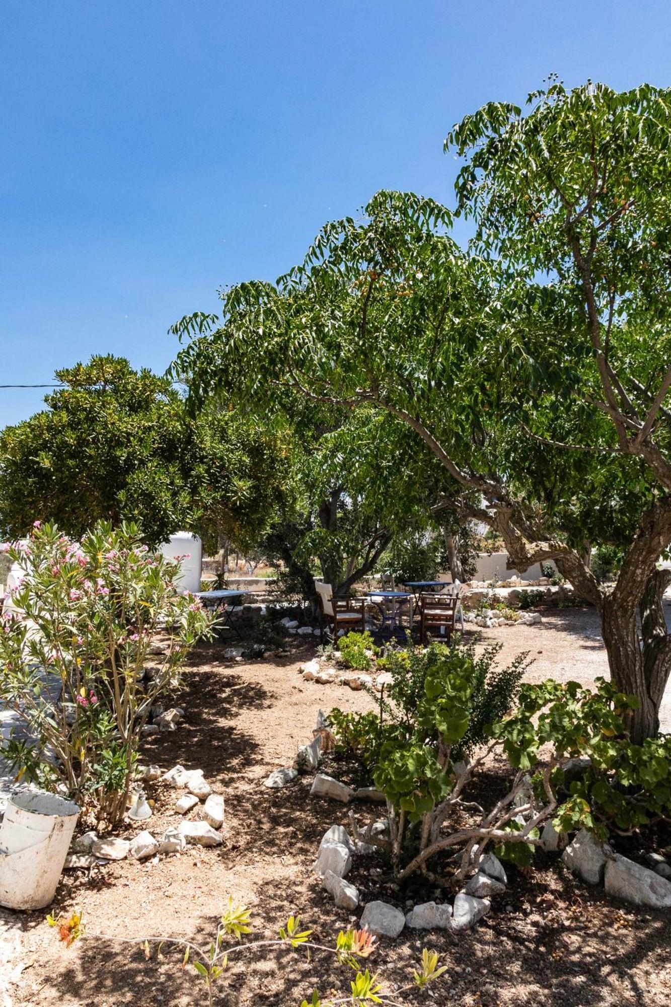 Sorokos Koufonissia Hotell Koufonisia Exteriör bild